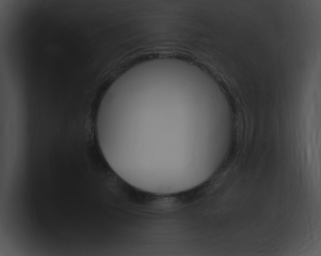 X0000101170609200806270755