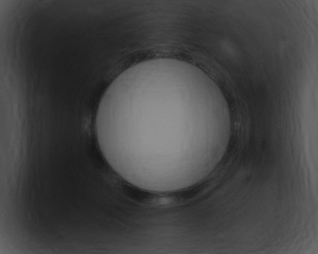 X0000101170610200806270755