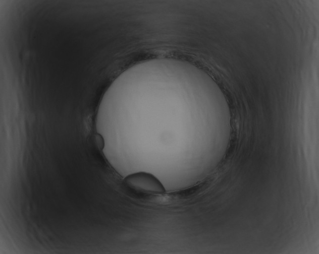 X0000101170611200806270755