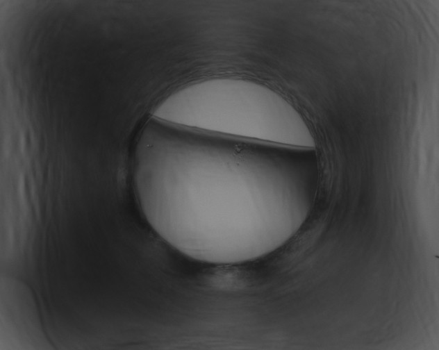 X0000101170612200806270755