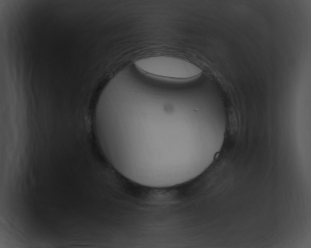 X0000101170613200806270755