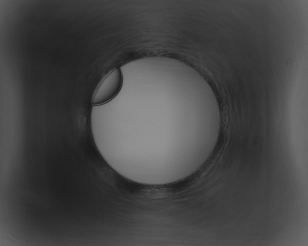 X0000101170615200806270755