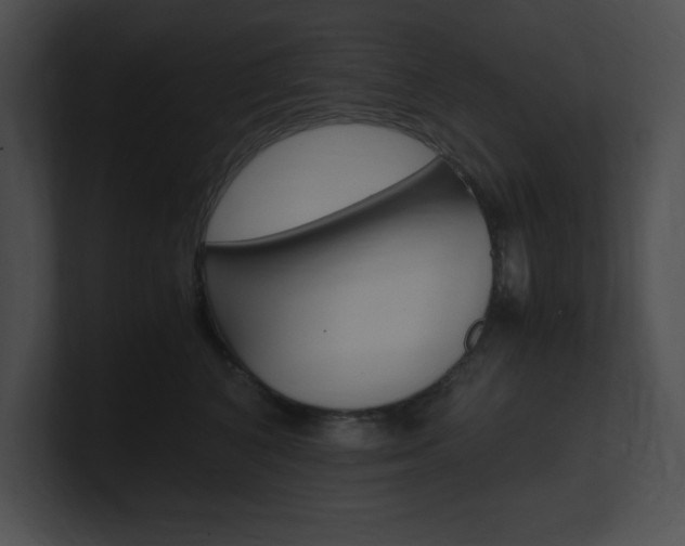 X0000101170616200806270755