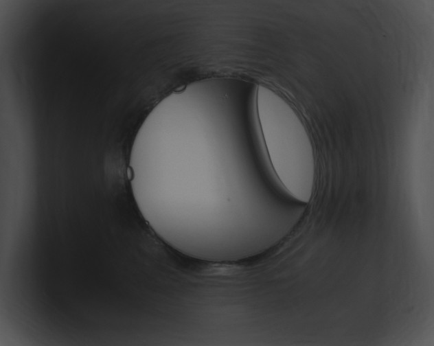 X0000101170617200806270755