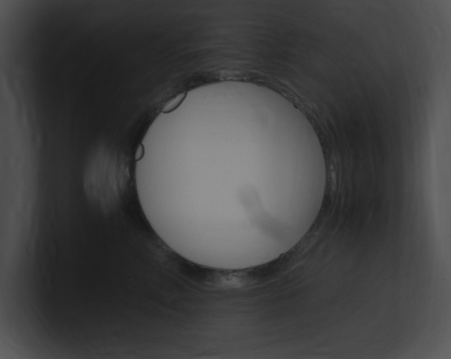 X0000101170618200806270755