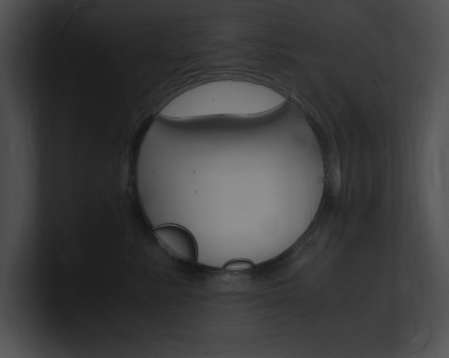 X0000101170619200806270755