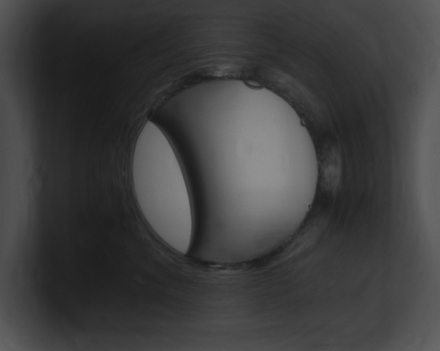 X0000101170620200806270755