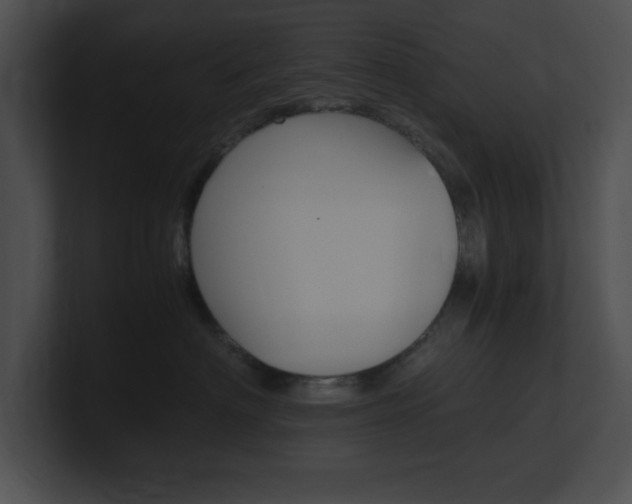 X0000101170622200806270755