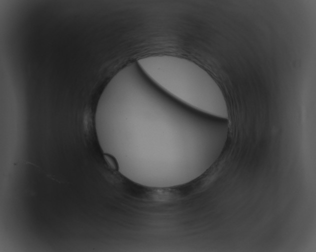 X0000101170623200806270754