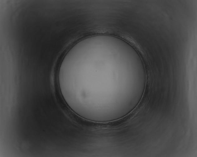 X0000101170626200806270754