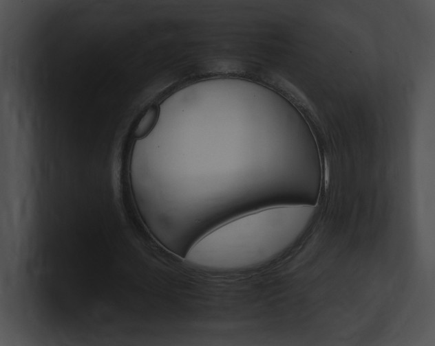 X0000101170627200806270754