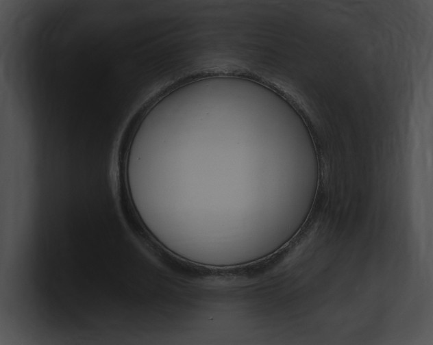 X0000101170630200806270754