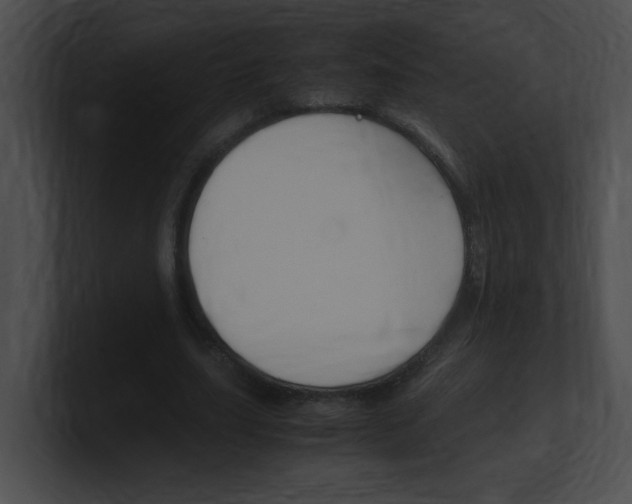 X0000101170631200806270754