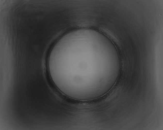 X0000101170634200806270754