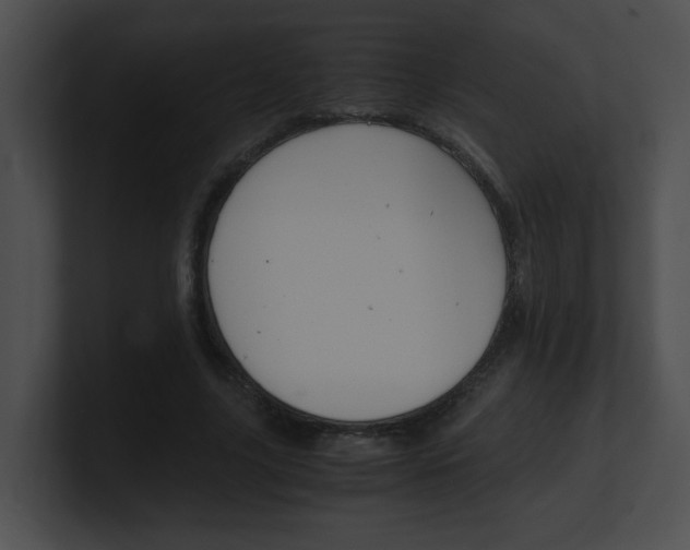 X0000101170635200806270754