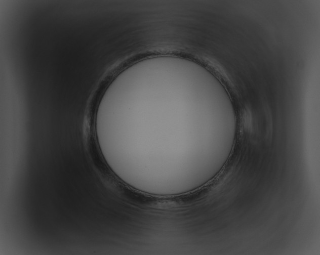X0000101170636200806270754