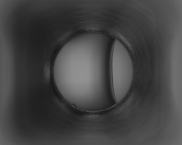 X0000101170637200806270754