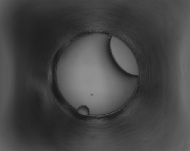 X0000101170638200806270754