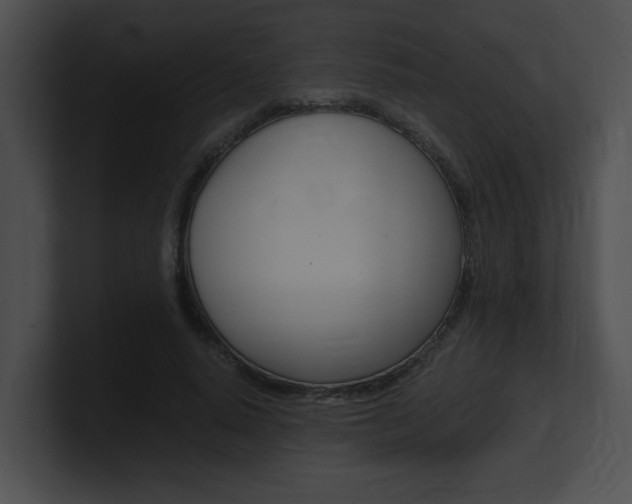 X0000101170640200806270754