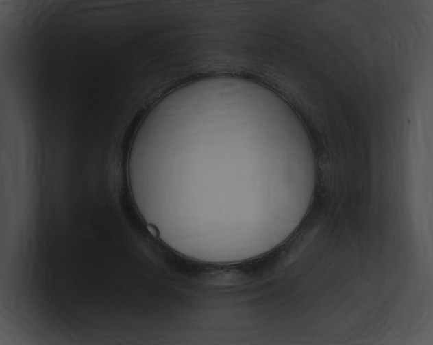 X0000101170642200806270754