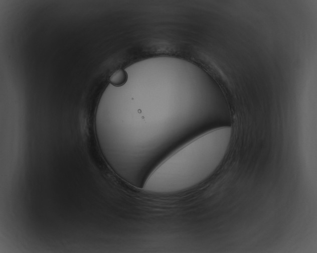X0000101170643200806270754