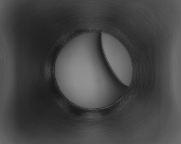 X0000101170644200806270754