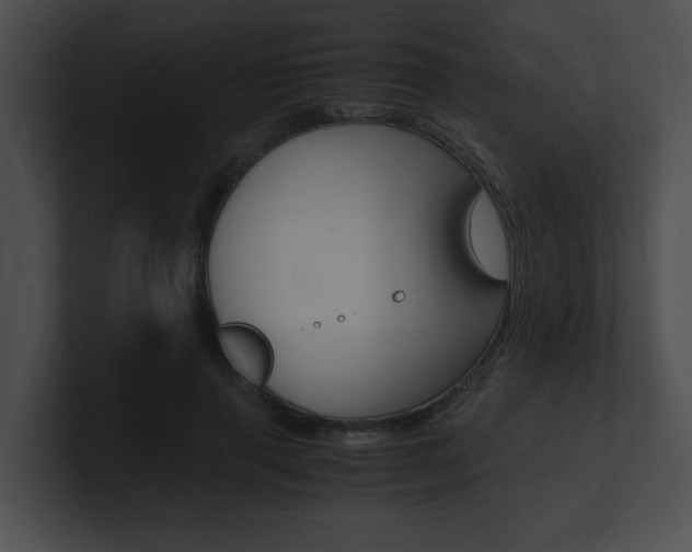 X0000101170645200806270754