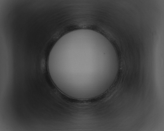 X0000101170646200806270754