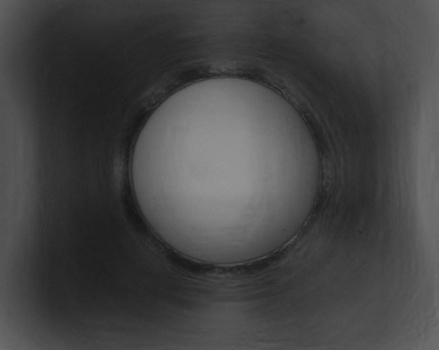 X0000101170648200806270754