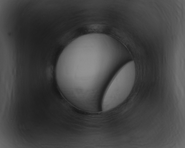 X0000101170649200806270754