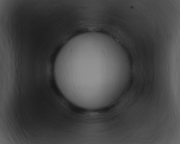 X0000101170650200806270754