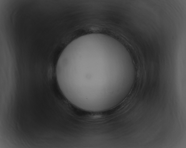 X0000101170651200806270754