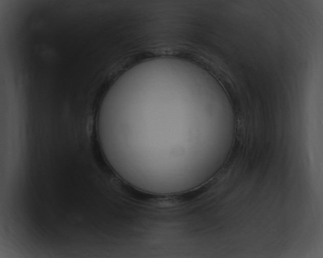 X0000101170652200806270754