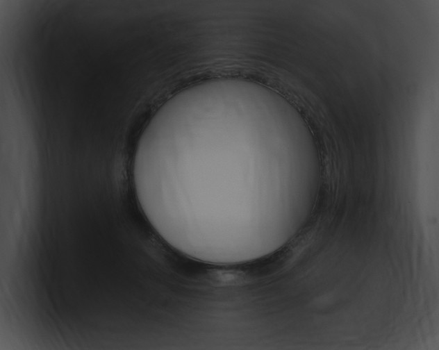 X0000101170654200806270754