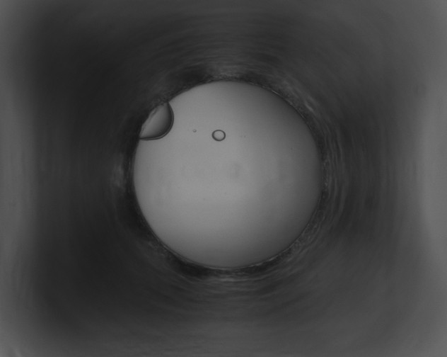 X0000101170655200806270754