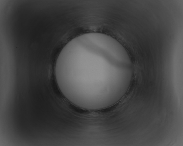 X0000101170656200806270754
