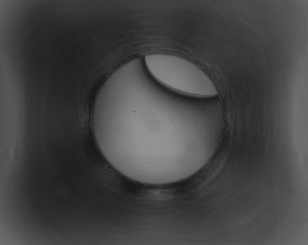 X0000101170657200806270754