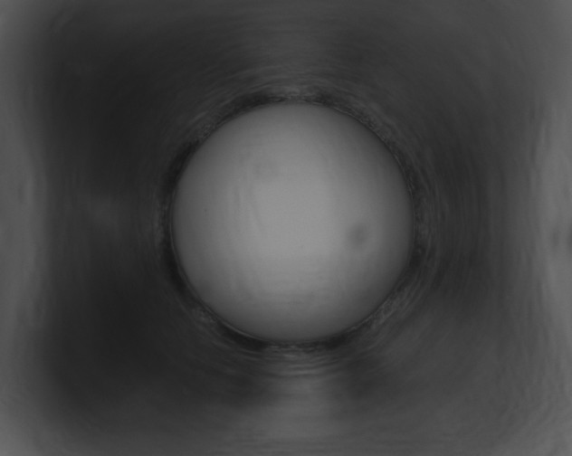 X0000101170658200806270754