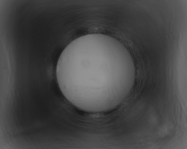 X0000101170659200806270754