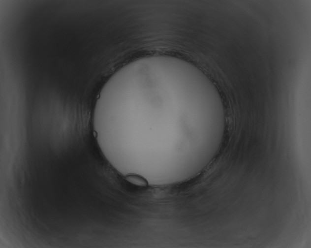 X0000101170660200806270754
