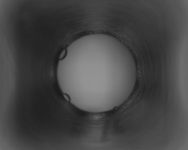 X0000101170662200806270754