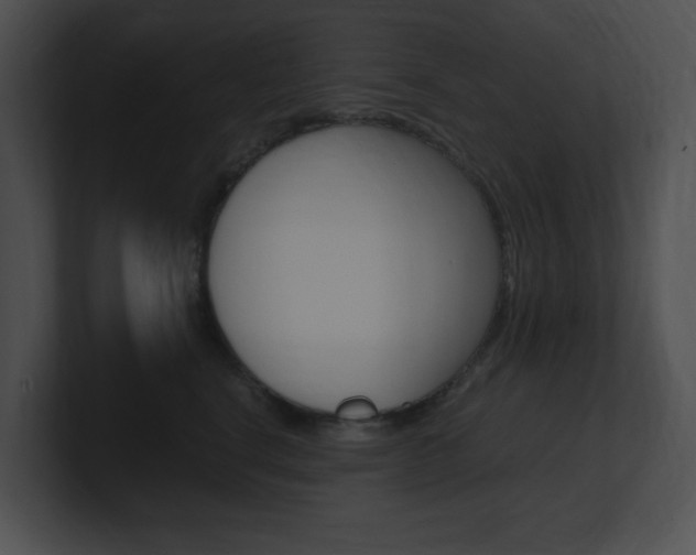 X0000101170664200806270754