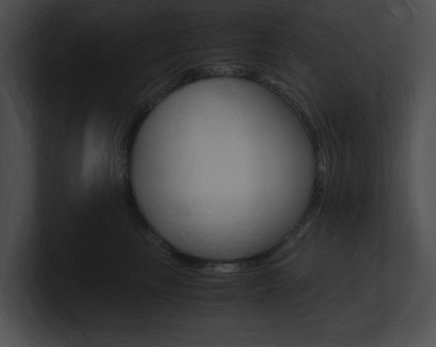 X0000101170665200806270754