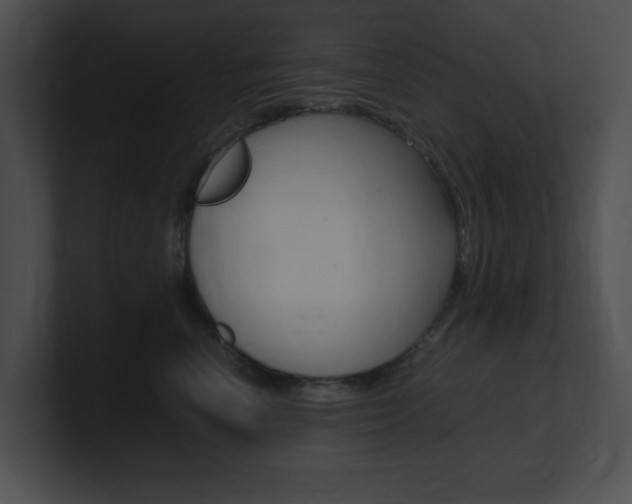 X0000101170666200806270754