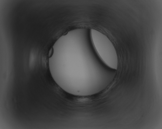 X0000101170669200806270754