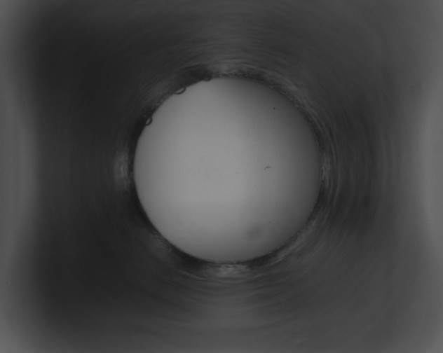 X0000101170670200806270754