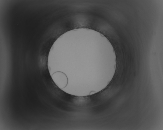 X0000101170672200806270754
