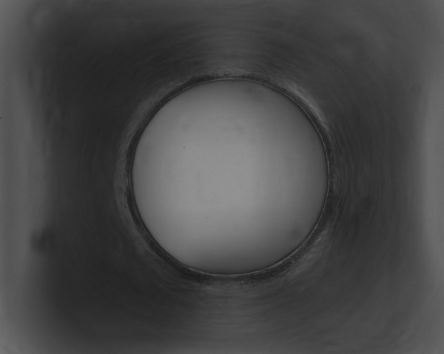 X0000101170673200806270754