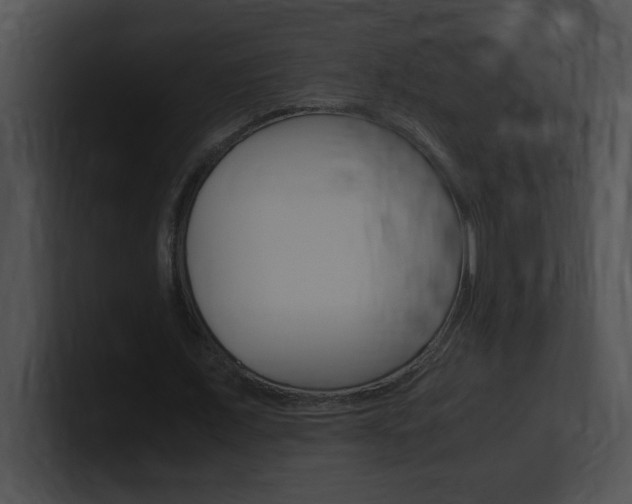 X0000101170675200806270754