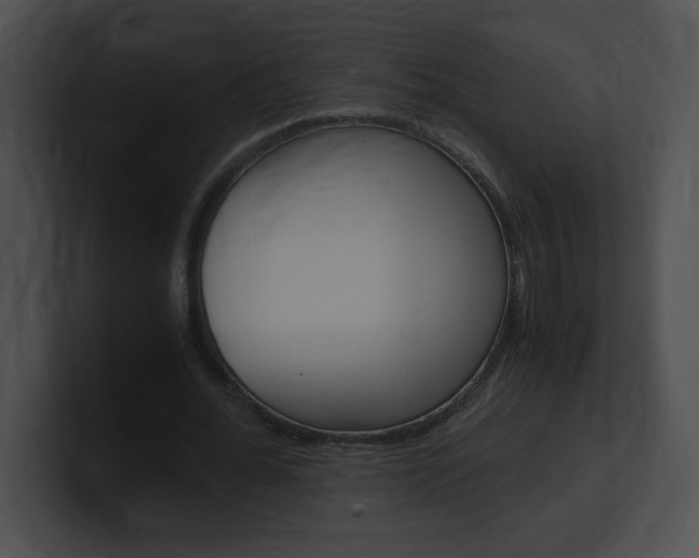 X0000101170676200806270754